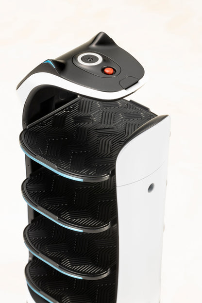Pudu Robotics ベラボット