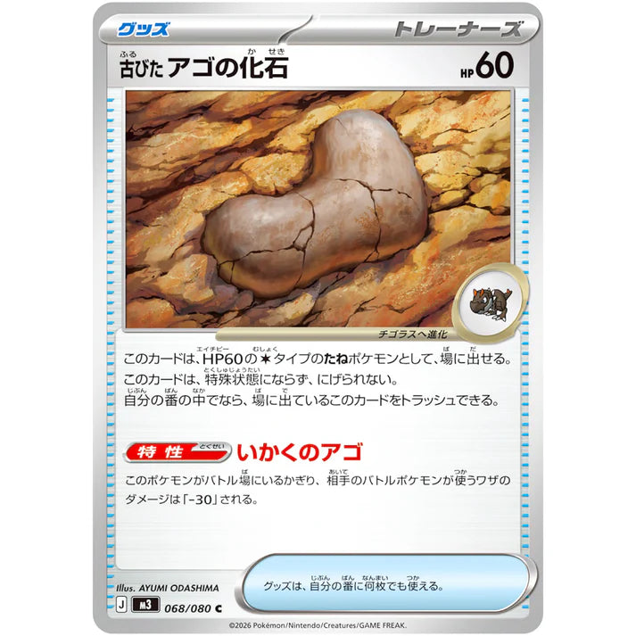 古びたアゴの化石