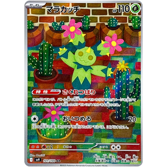 マラカッチ